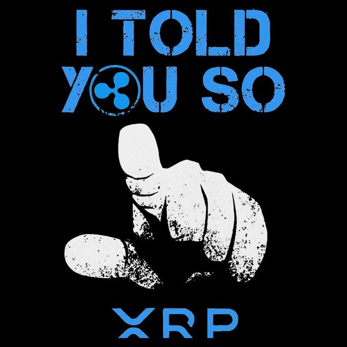 I Told You So Hodl Xrp Ripple Coin Blockchain Crypto Bullrun Mousepad