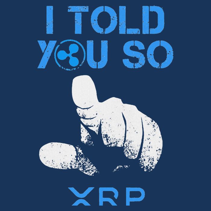 I Told You So Hodl Xrp Ripple Coin Blockchain Crypto Bullrun Infant Baby Jersey Bodysuit