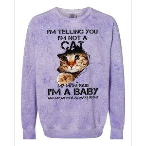 Im Telling You Im Not A Cat My Mom Said Im A Baby Colorblast Crewneck Sweatshirt