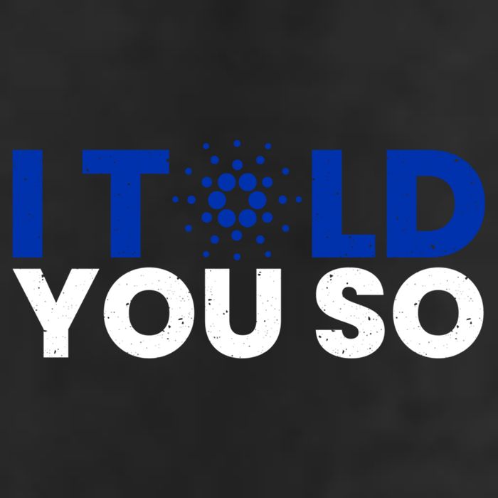 I Told You Cardano Ada Token Millionaire Coin Gift Cool Comfort Performance Bucket Hat