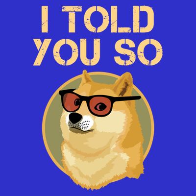 I Told You So To Hodl Dogecoin Now Doge Is Rich Millionaire Gift T-Shirt