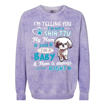 I'm Telling You I'm Not A Shih Tzu My Mom Said I'm A Gift Colorblast Crewneck Sweatshirt