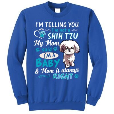 I'm Telling You I'm Not A Shih Tzu My Mom Said I'm A Gift Sweatshirt