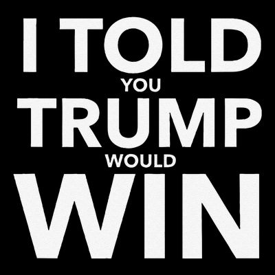 I Told You Trump Would Win Election Day Gift T-Shirt