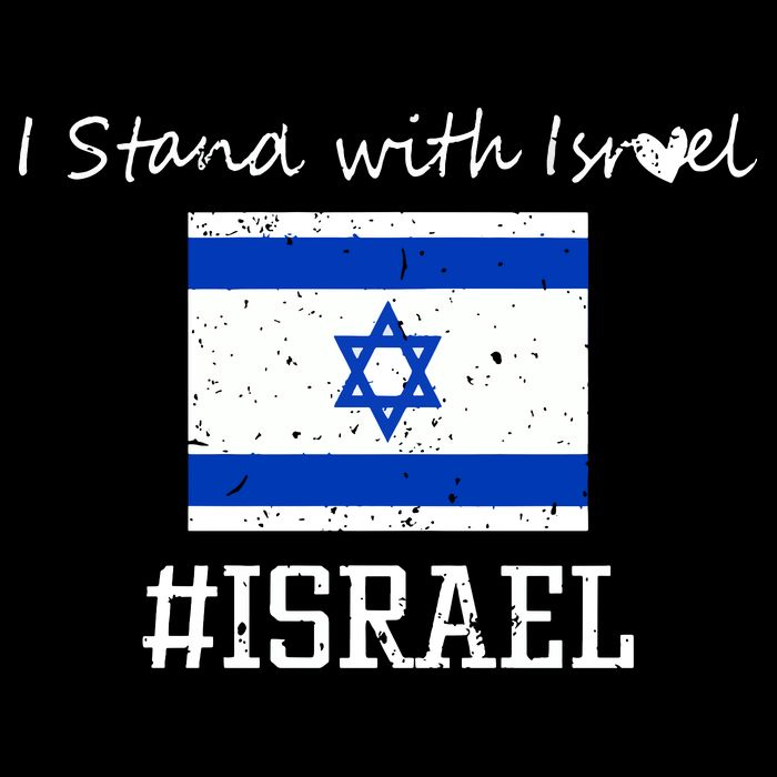 Israel USA Flags Cooling Performance Crew T-Shirt