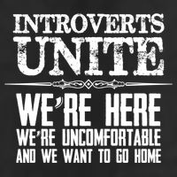 Introverts Unite Funny Gift For Introverted And Cute Gift Adult Drive Performance Visor