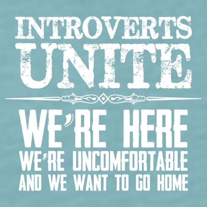 Introverts Unite Funny Gift For Introverted And Cute Gift Sueded Cloud Jersey T-Shirt
