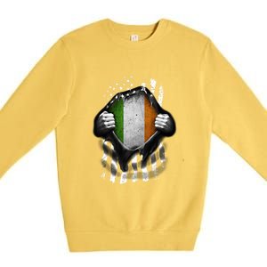 Ireland Usa Flag Irish American Gift Premium Crewneck Sweatshirt