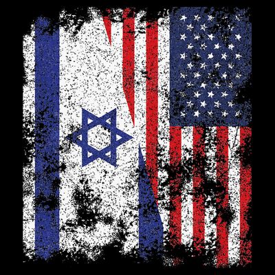 Israel USA Flag Distressed Half American T-Shirt