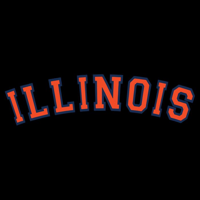 Illinois Usa Patriotic Birthday School University Gift 16 in Basic Backpack