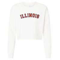 Illinois Usa Patriotic Birthday School University Gift Cropped Pullover Crew