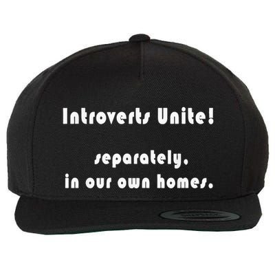 Introverts Unite... Separately In Our Own Homes. Wool Snapback Cap