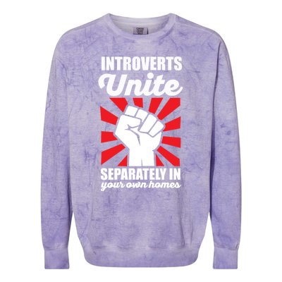 Introverts Unite Separately In Home Funny Saying Antisocial Cute Gift Colorblast Crewneck Sweatshirt