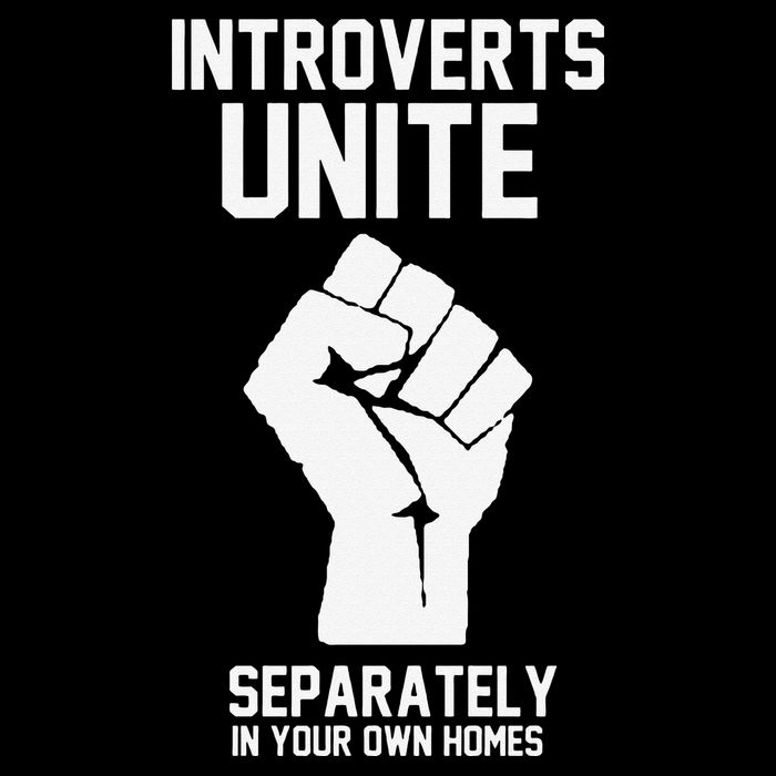 Introverts Unite Separately In Your Own Homes Mousepad