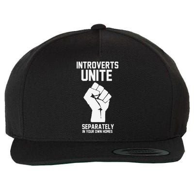 Introverts Unite Separately In Your Own Homes Wool Snapback Cap