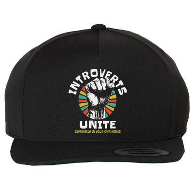 Introverts Unite Separately Own Homes Emblem Wool Snapback Cap