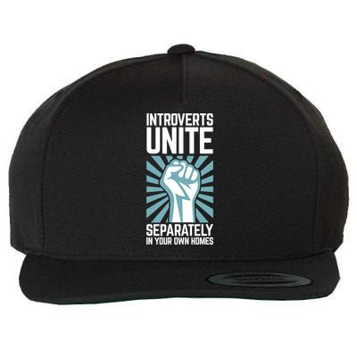Introverts Unite Separately In Your Own Homes Wool Snapback Cap