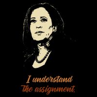 I Understand The Assignment Mousepad