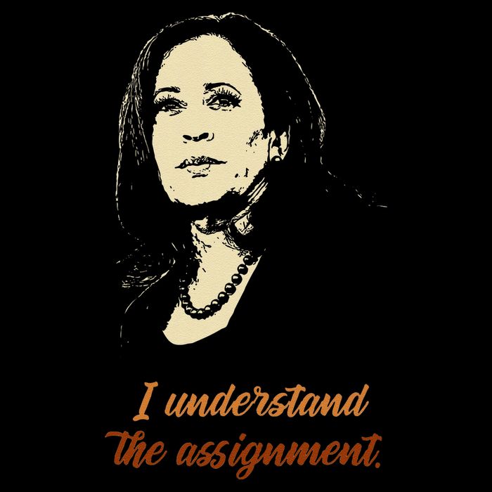 I Understand The Assignment Mousepad