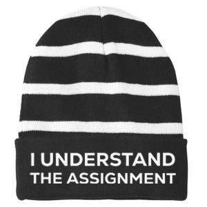 I Understand The Assignment Striped Beanie with Solid Band