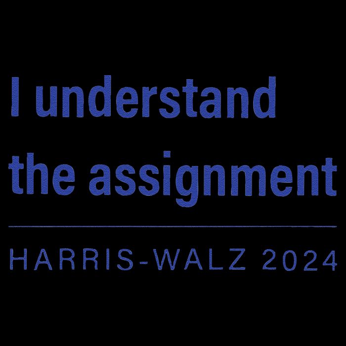 I Understand The Assignment Harris Walz 2024 Button