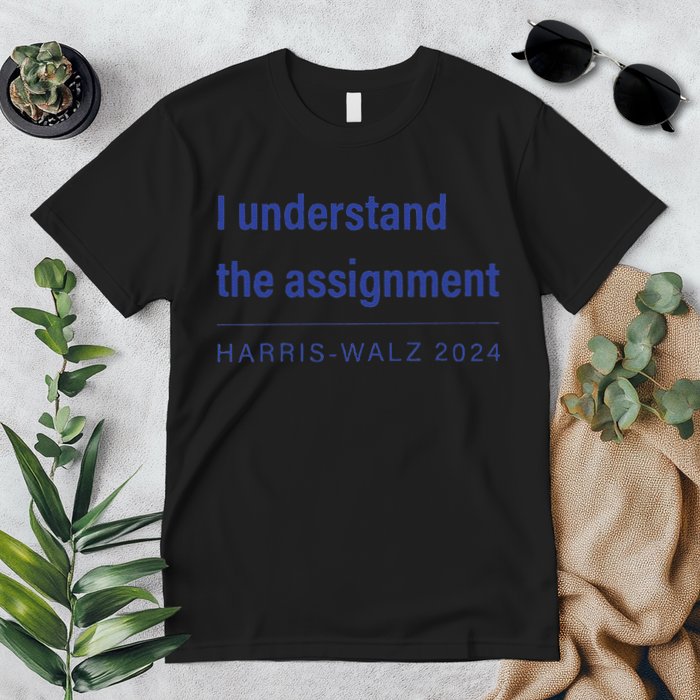 I Understand The Assignment Harris Walz 2024 Premium T-Shirt