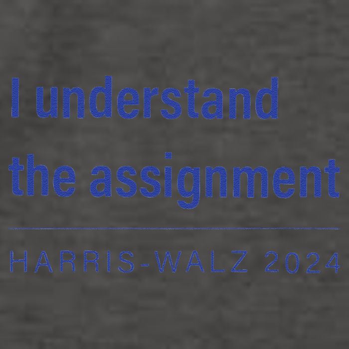 I Understand The Assignment Harris Walz 2024 Vector Backpack