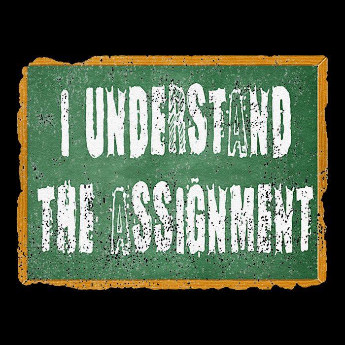 I Understand The Assignment Mousepad