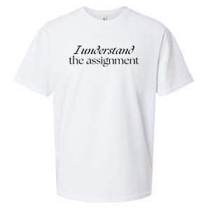 I Understand The Assignment Kamala Harris 2024 Sueded Cloud Jersey T-Shirt