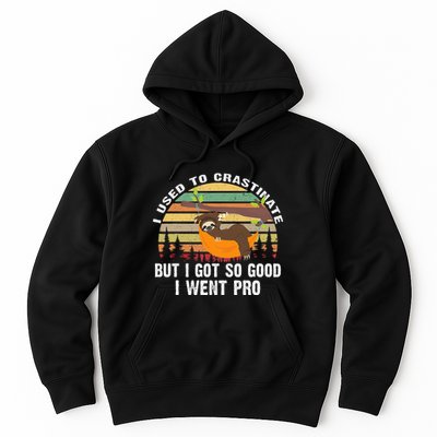 I Used To Crastinate But I Got So Good I Went Pro Funny Lazy Hoodie