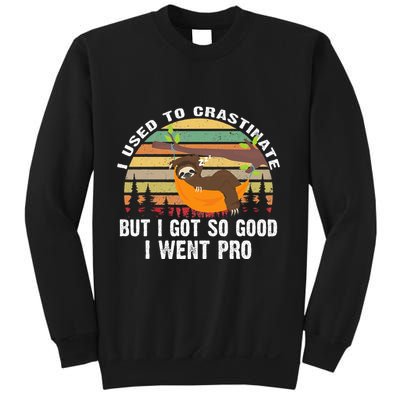 I Used To Crastinate But I Got So Good I Went Pro Funny Lazy Sweatshirt