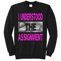 I Understood The Assignment Pink Color Graphic Sweatshirt