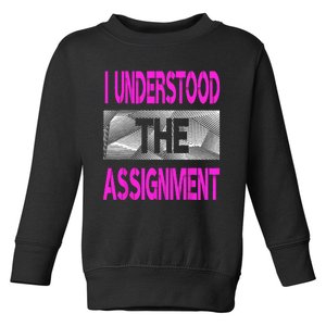 I Understood The Assignment Pink Color Graphic Toddler Sweatshirt