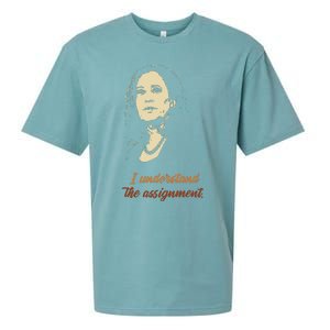 I Understand The Assignment Sueded Cloud Jersey T-Shirt