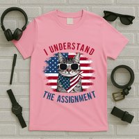 I Understand The Assignment Cat Childless Cat Lady T-Shirt