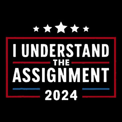 I Understand The Assignment Meme T-Shirt