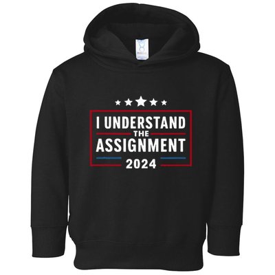 I Understand The Assignment Meme Toddler Hoodie