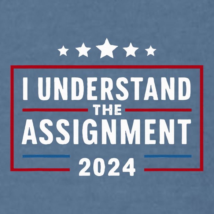 I Understand The Assignment Meme Garment-Dyed Sweatshirt