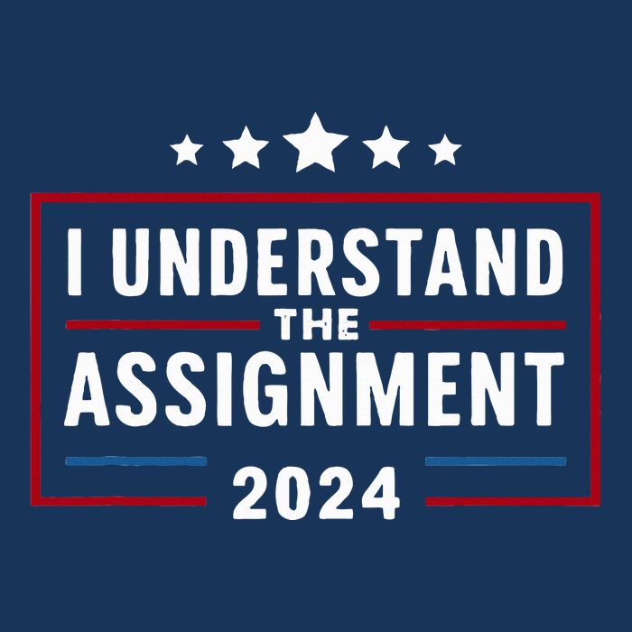 I Understand The Assignment Meme Infant Baby Jersey Bodysuit