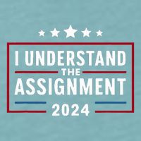I Understand The Assignment Meme Sueded Cloud Jersey T-Shirt
