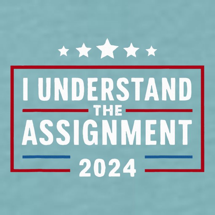I Understand The Assignment Meme Sueded Cloud Jersey T-Shirt