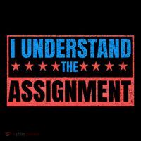 I Understand The Assignment Flat Bill Trucker Hat