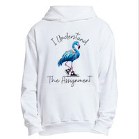 I Understand The Assignment Flamingo Chucks Comma La Gift Urban Pullover Hoodie