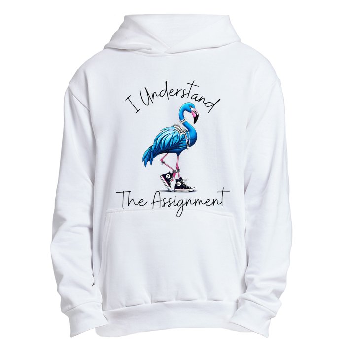 I Understand The Assignment Flamingo Chucks Comma La Gift Urban Pullover Hoodie