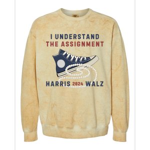 I Understand The Assignment Harris Walz 2024 Colorblast Crewneck Sweatshirt