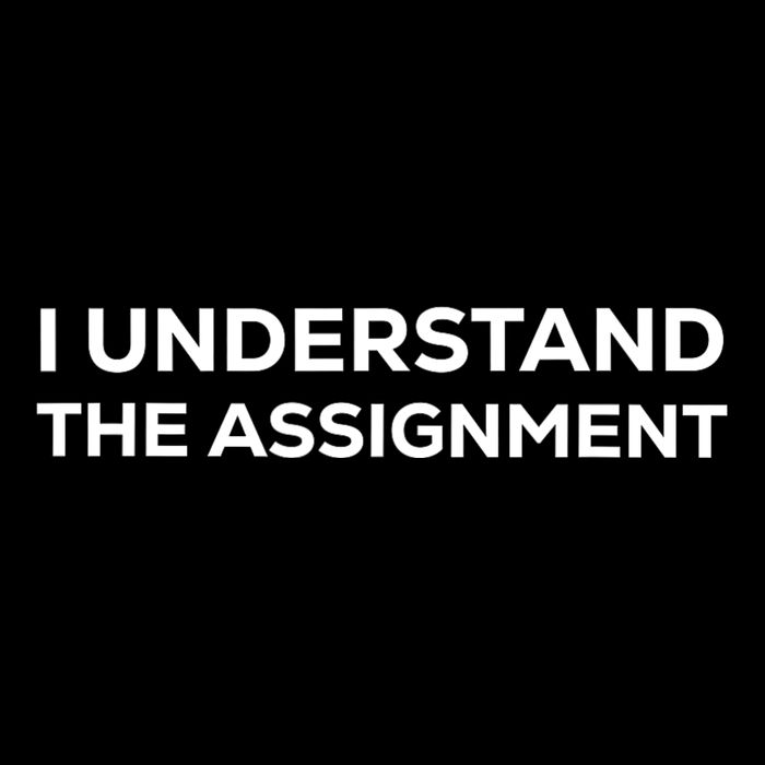 I Understand The Assignment New Memes 7-Panel Snapback Hat