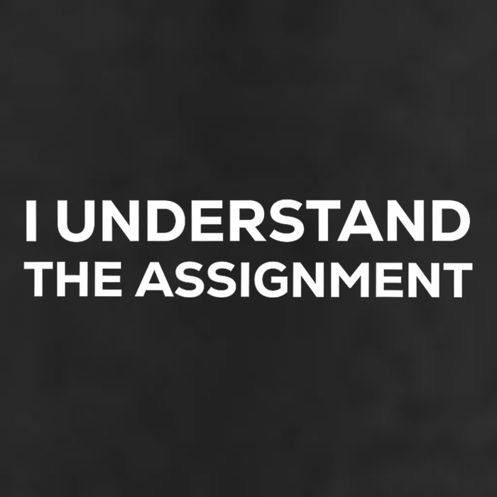 I Understand The Assignment New Memes Knit Cap Winter Beanie