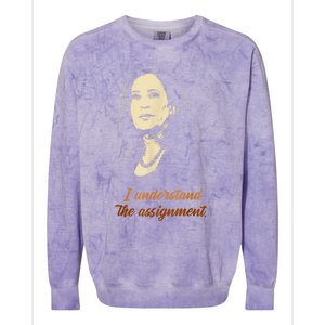 I Understand The Assignment Colorblast Crewneck Sweatshirt