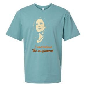 I Understand The Assignment Sueded Cloud Jersey T-Shirt