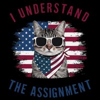 I Understand The Assignment Cat Childless Cat Lady Baby Bodysuit